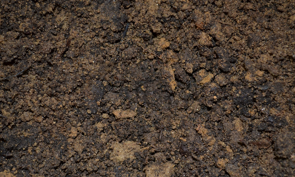 soil